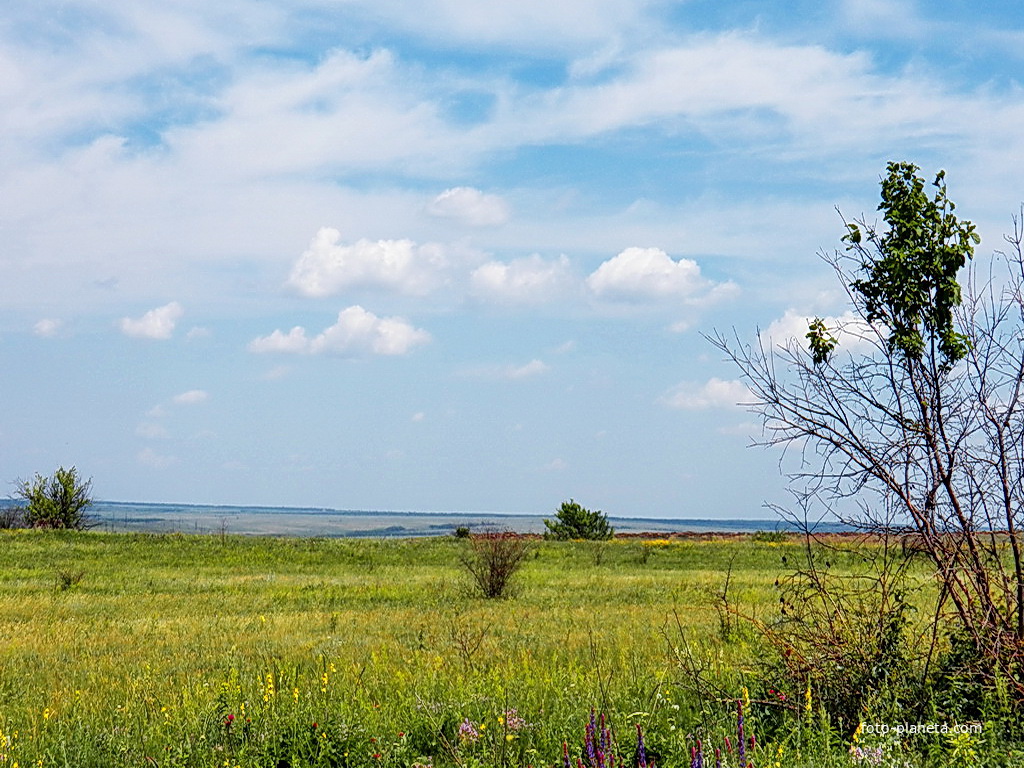 Ольховатский пейзаж