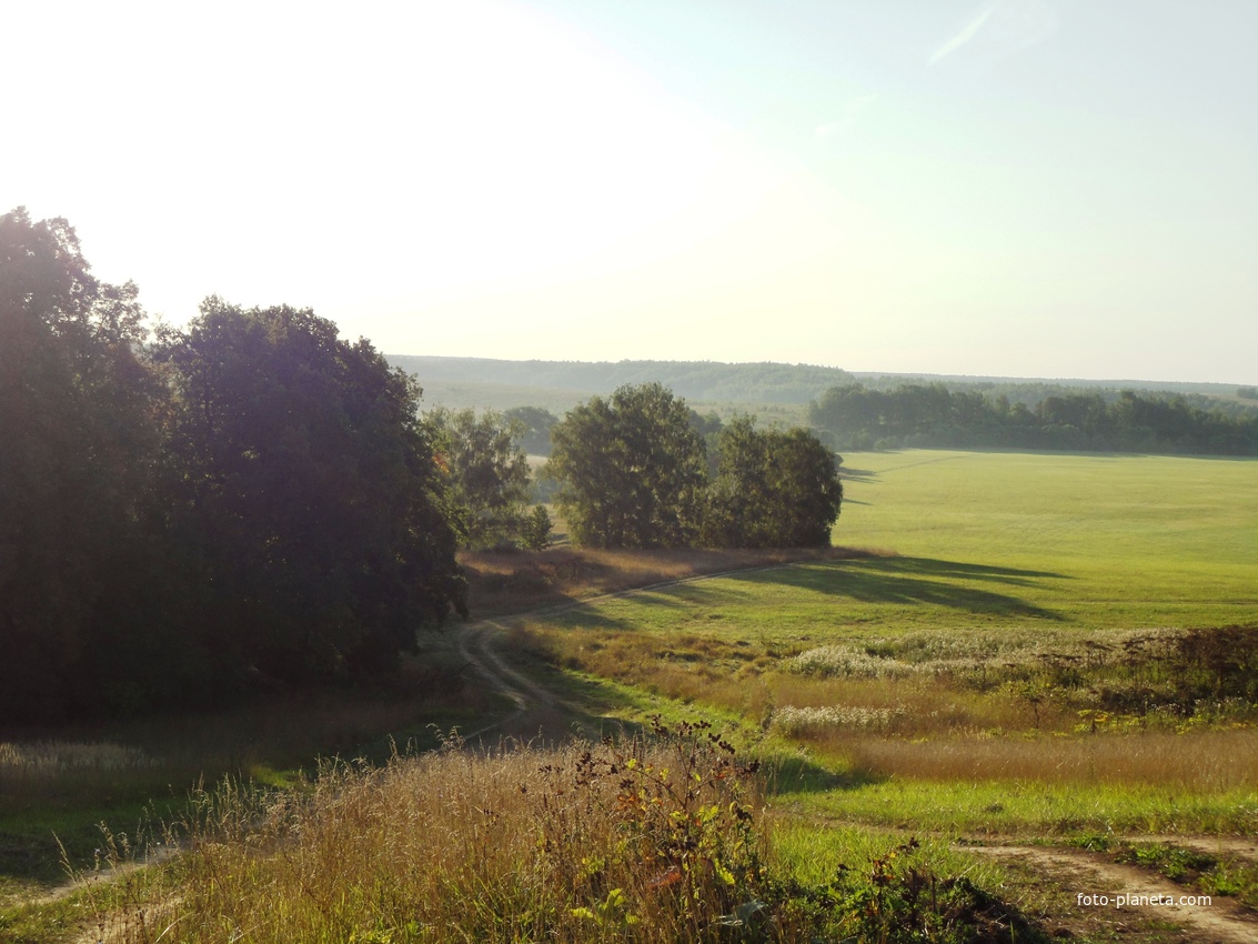 Заливные луга