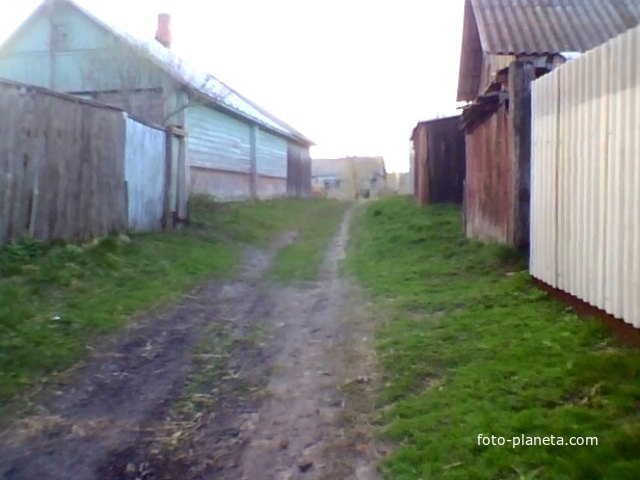 д Перепись. Улица  Белановка