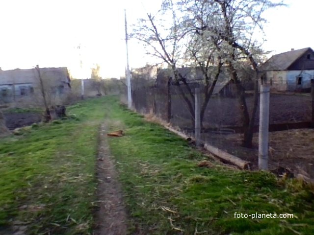 д Перепись  Улица Белановка