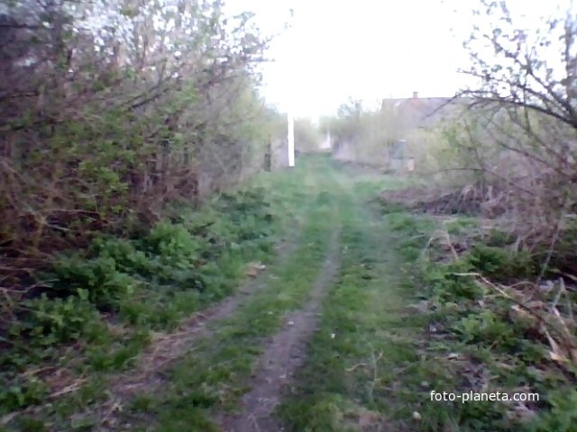 д Перепись. Улица  Белановка