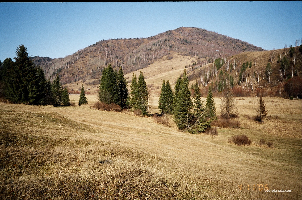 Камзасс