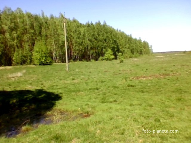 Полянский  лес