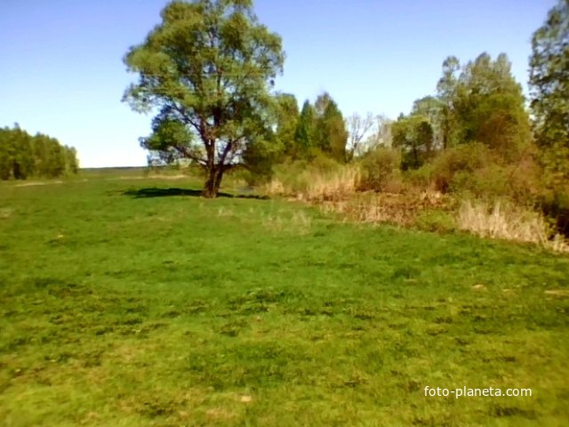 Болото  Гребля