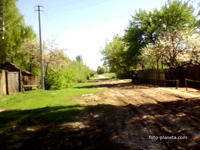 Улица Карповка