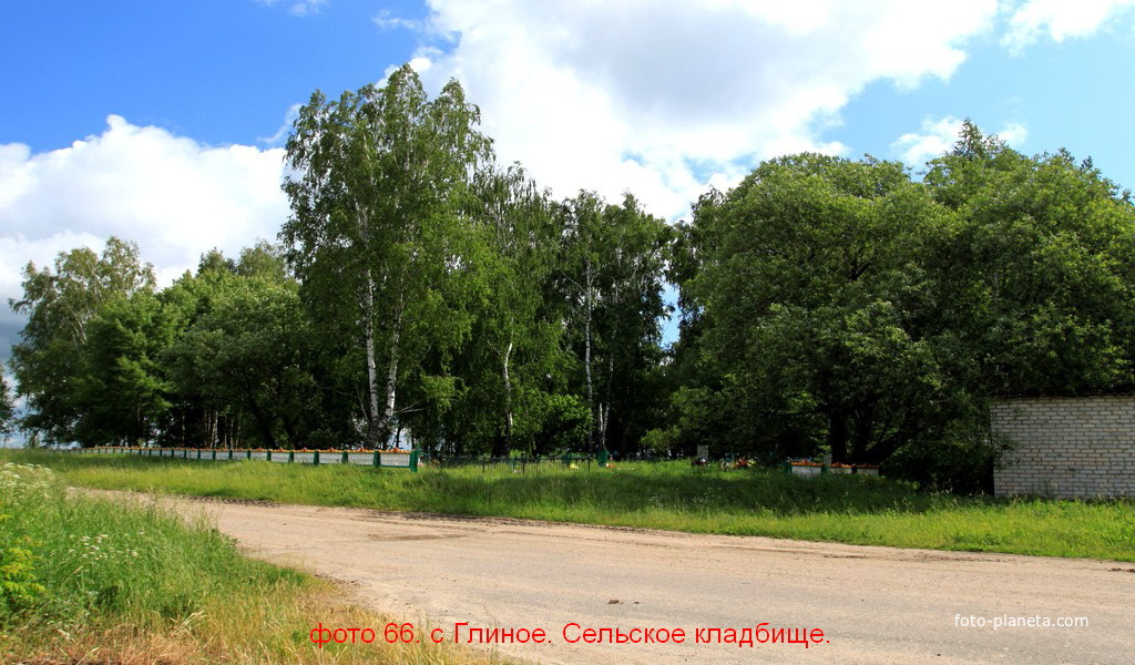 Сельское кладбище села Глинное.