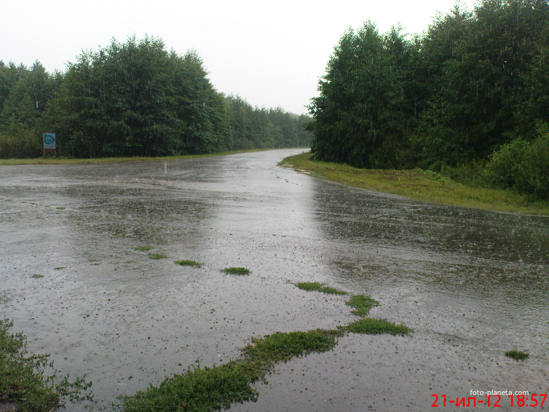 ливень у остановки