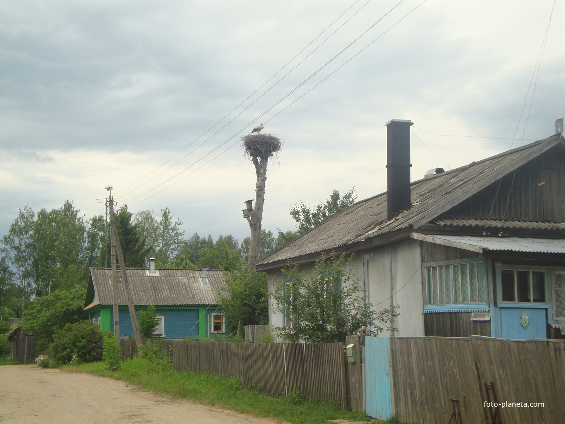 Деревня Звягино.