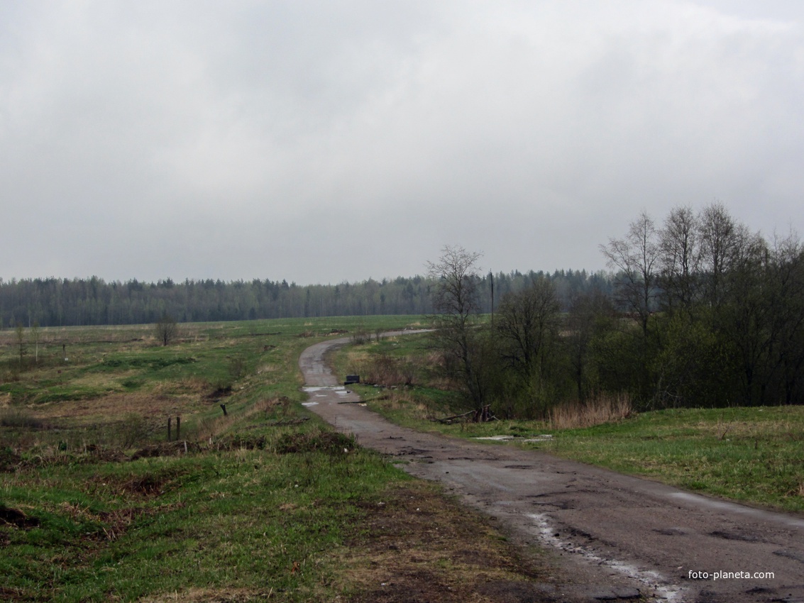 Старая дорога времен войны.