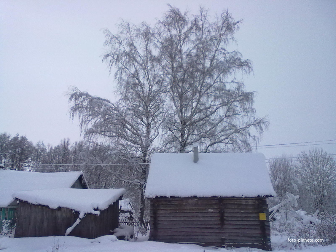 Зима в деревне Дмитриевка