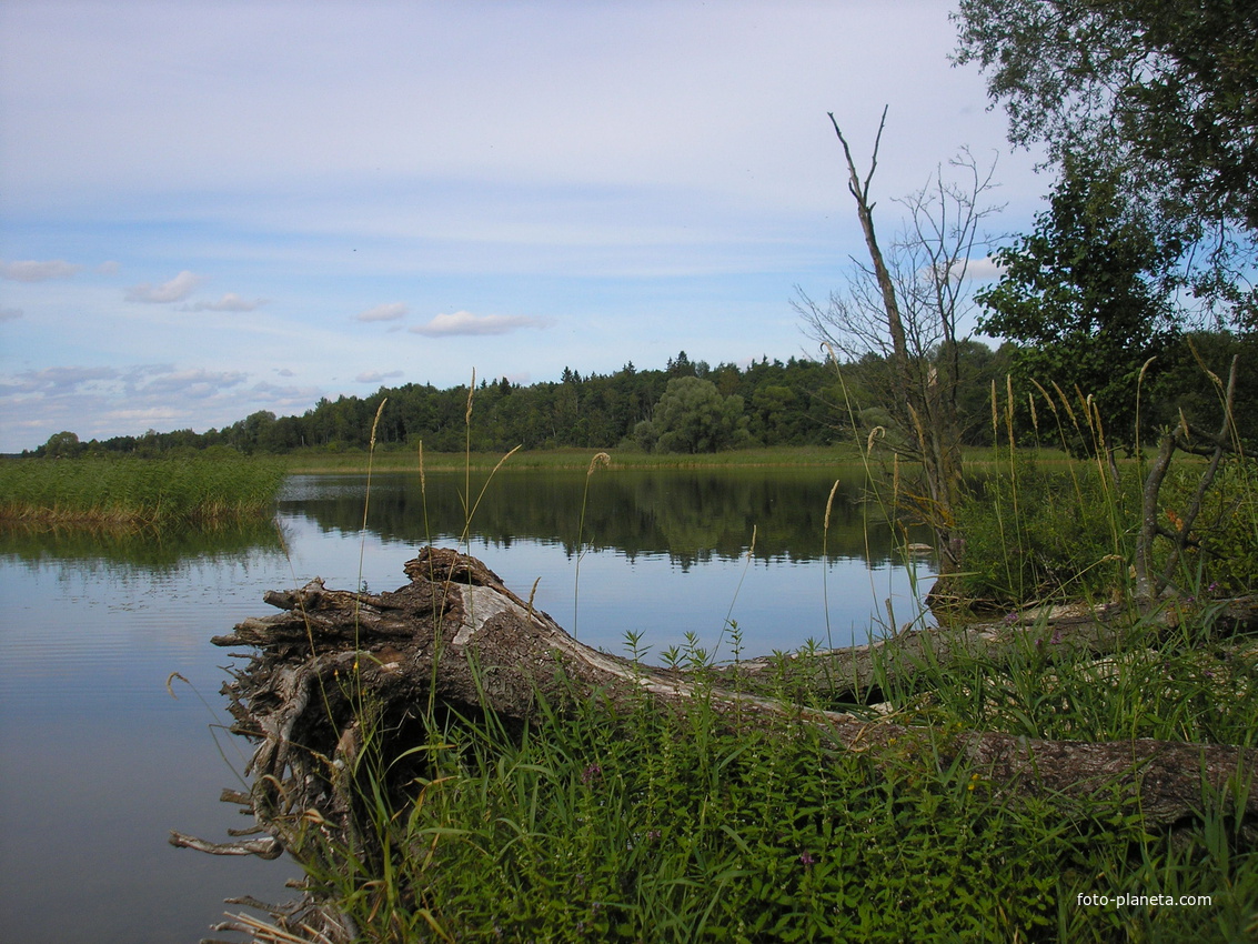 Озеро Дрывяты возле Ахремовцев