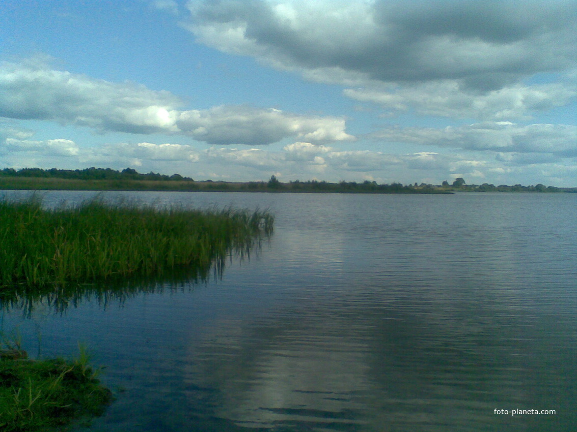 Лепельское озеро в районе д. Юрковщина