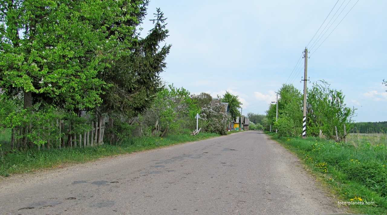 Улица деревни Лотевка.