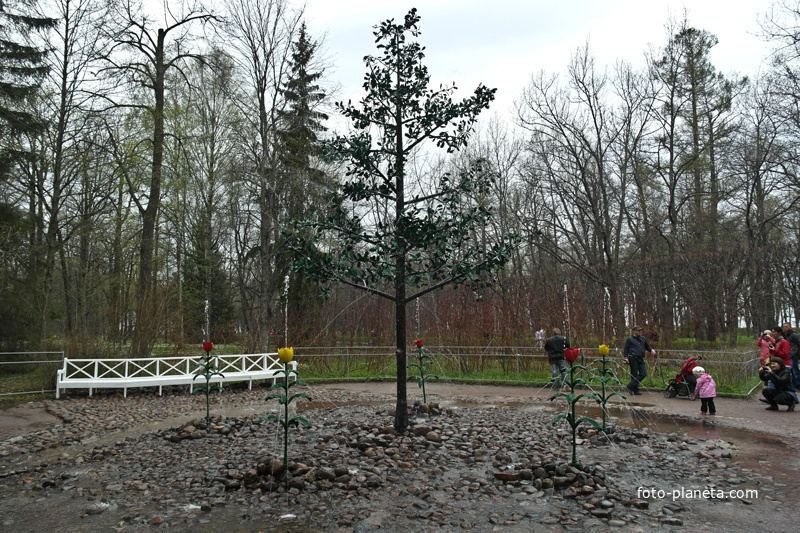 Нижний парк. Фонтан-шутиха.