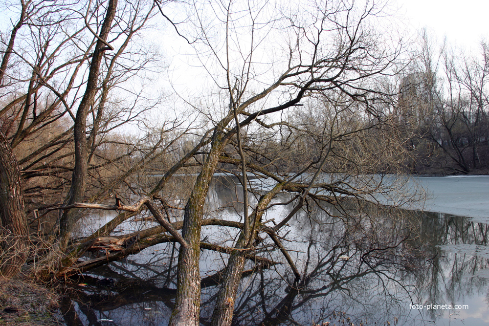 Верхний пруд