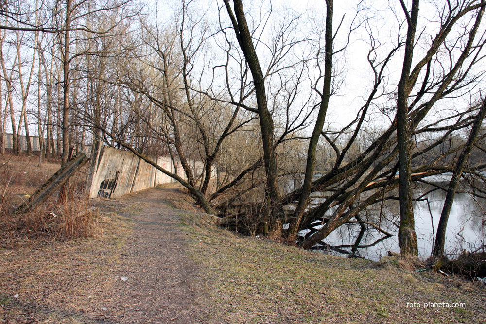 Дорожка у пруда