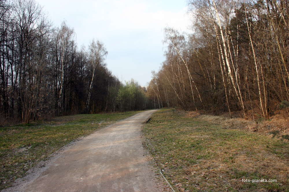 Тротуар в парке