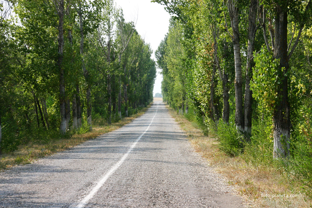 Дорога от шоссе к комплексу Гагаринское поле