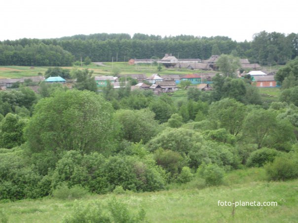 Вид с родника на ток