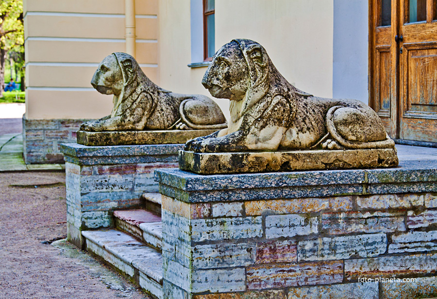 Статуи львов