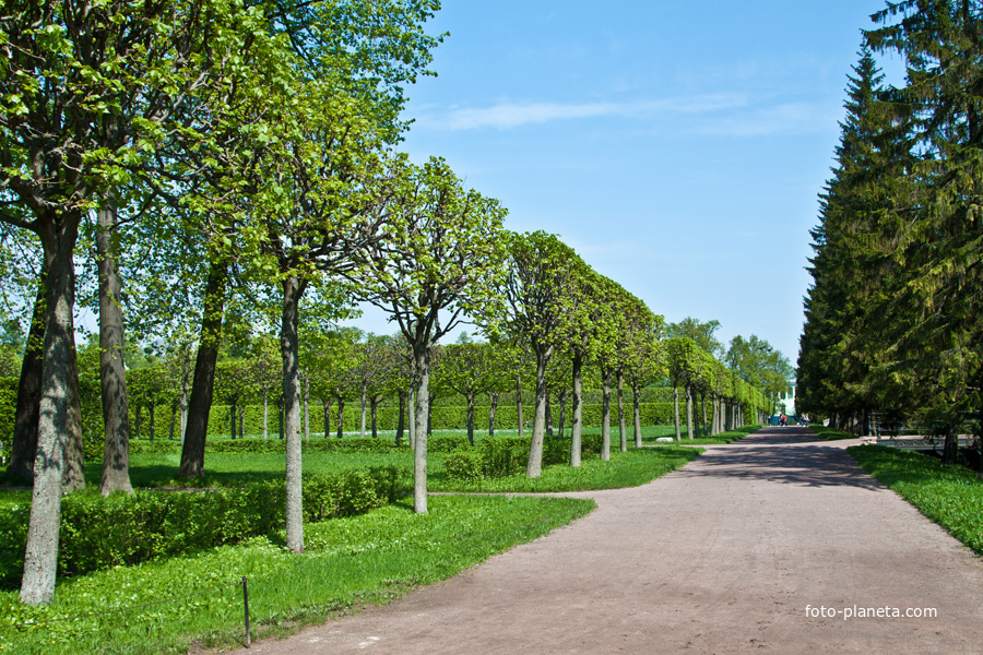 Екатерининский парк