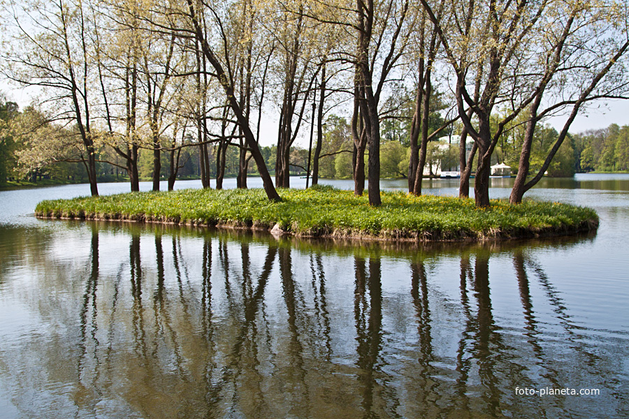 Остров на Большом пруду