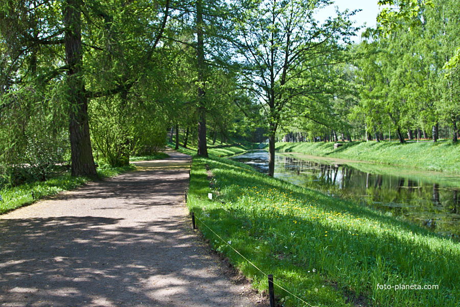 Екатерининский парк. Продольный пруд.