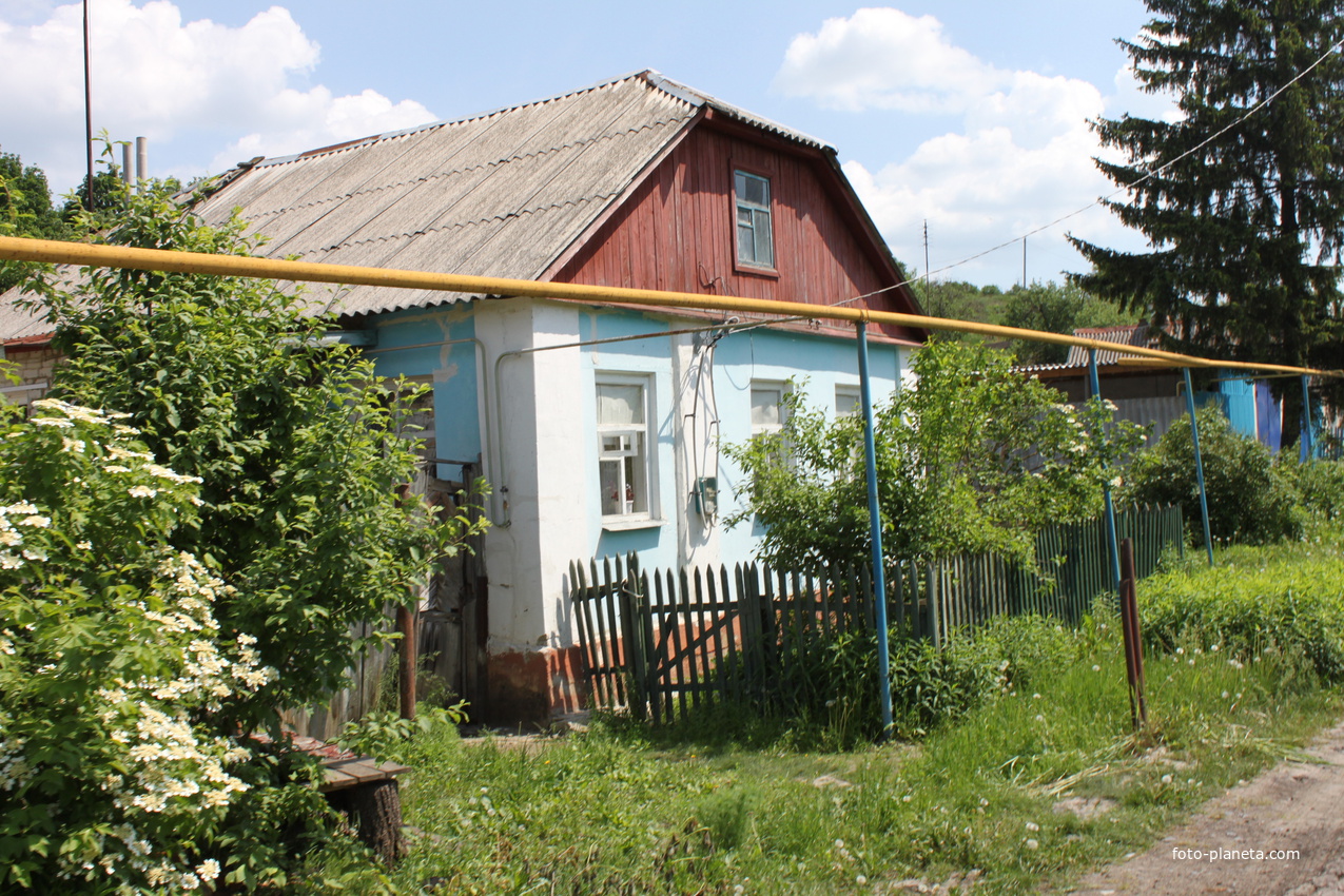 Долбино. Ул. Садовая.