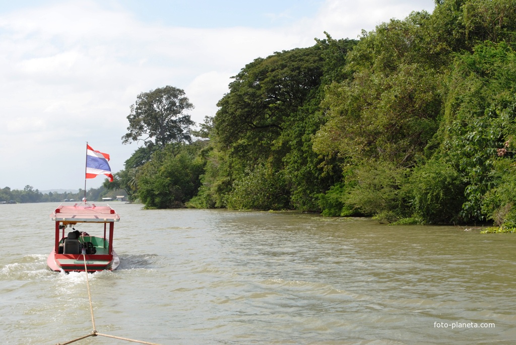 Катает туристов