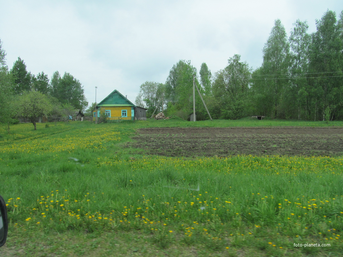 Дом в дервне.