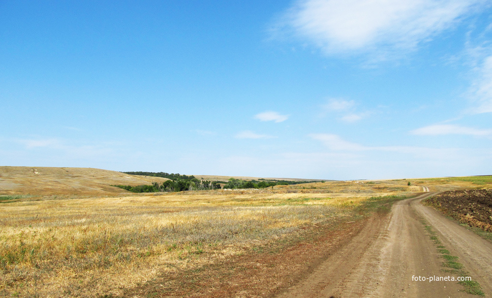 Полевая дорога