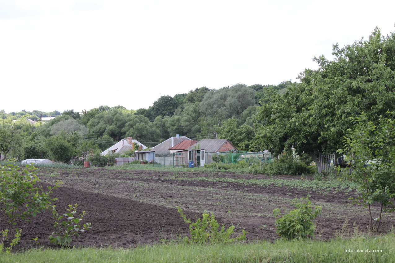 Весёлая Лопань.