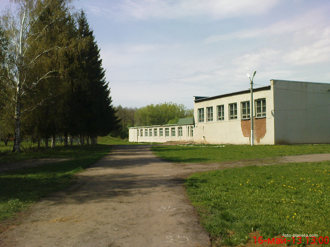 деревенская школа
