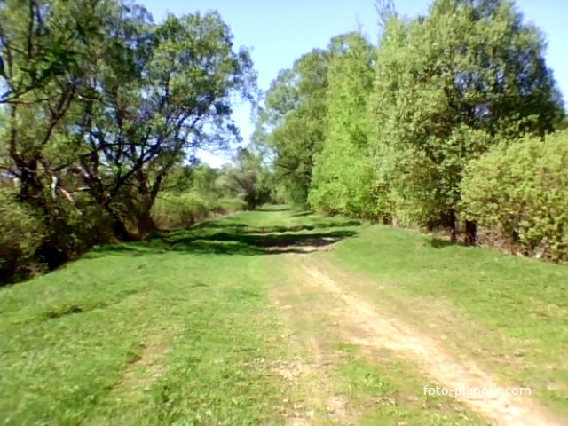 Перепис Болото Гребля