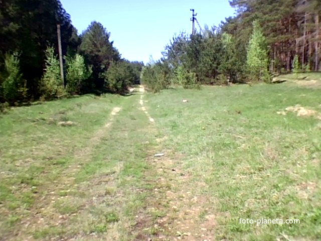 Перепис Полянский Лес