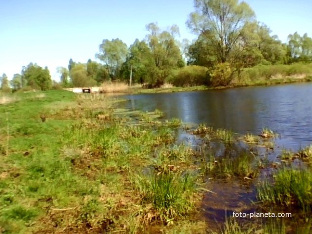 Перепис Болото  Гребля
