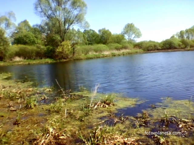 Перепис Болото  Гребля