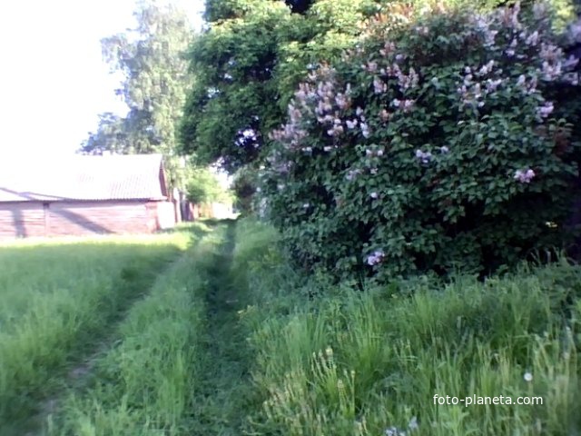 Перепис у. Агеевка