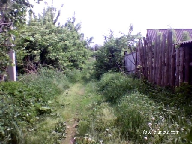 Перепис   у.  Белановка