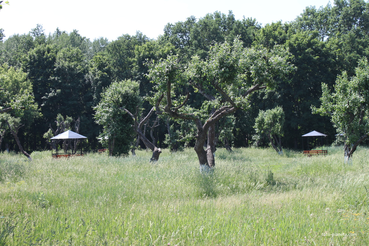 Майский. Рекреационная зона.