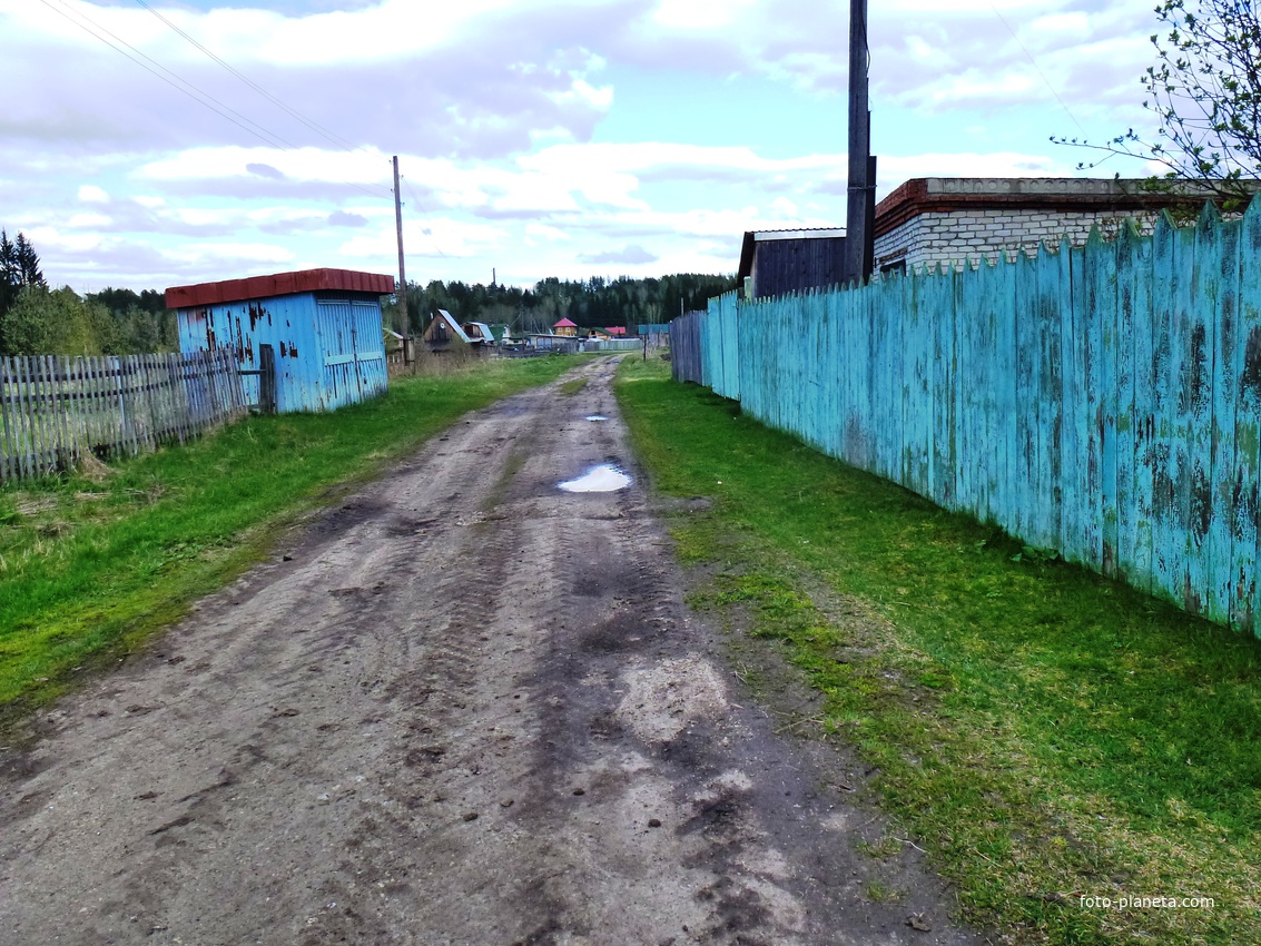 Батурино томская область асиновский район фото