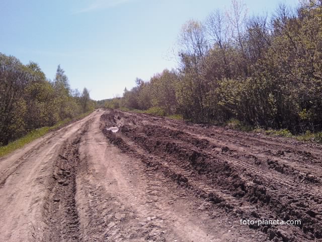 Вот такая дорога в деревне Чураки свердловской обл. тугулымского района.