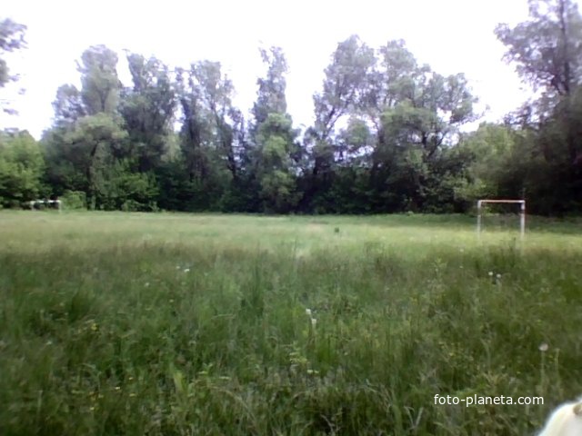 Перепис Быший  школьный стадион