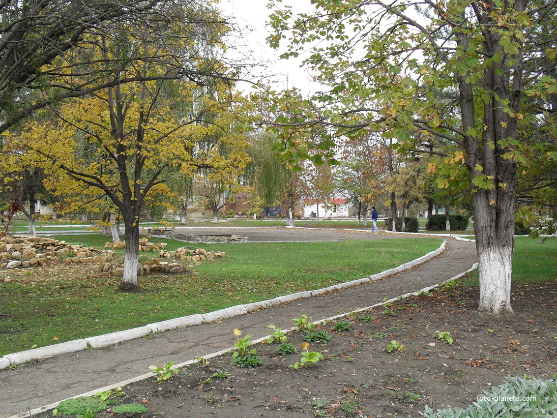 площадь села