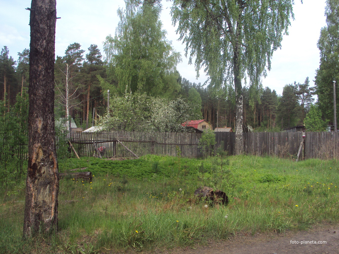 царицино озеро