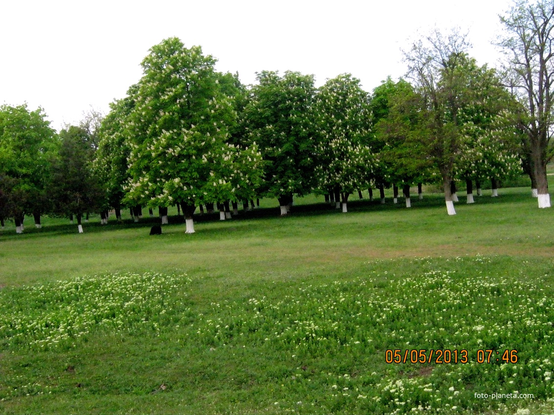 Парк в центре села Тростянец