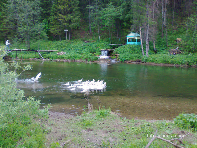 Лебединое озеро (р. Сарс)