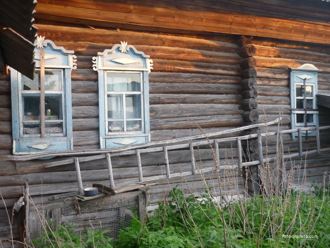 в ограде 2010г