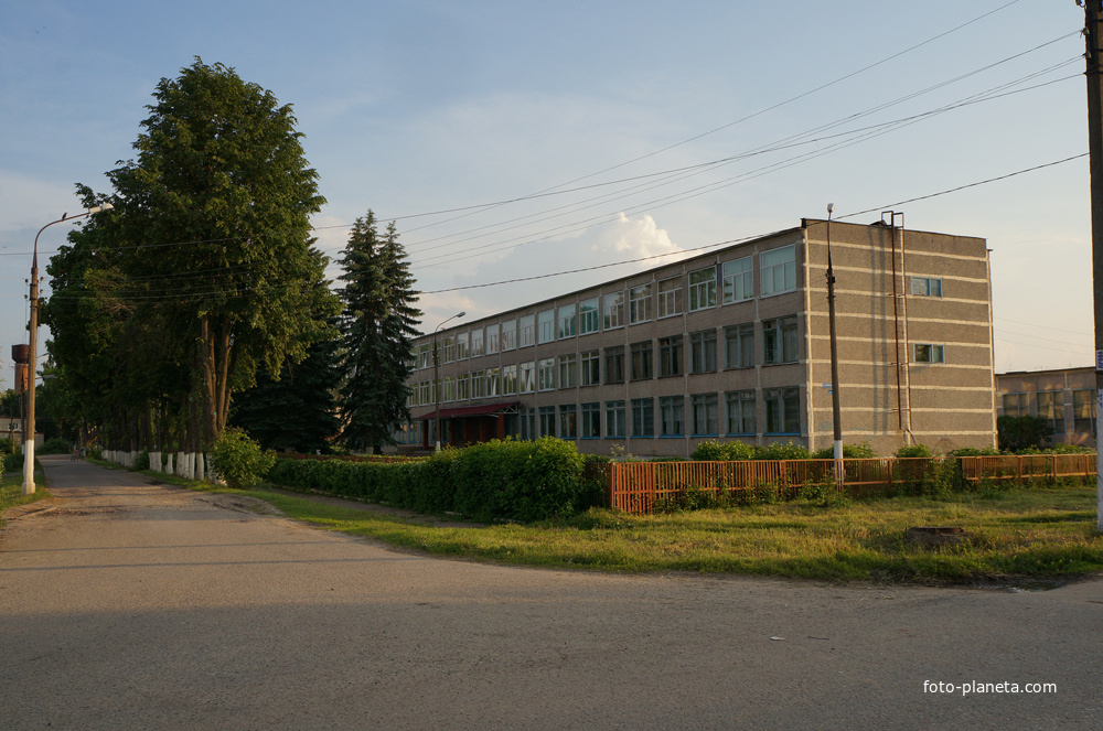 Большое Алексеевское, школа