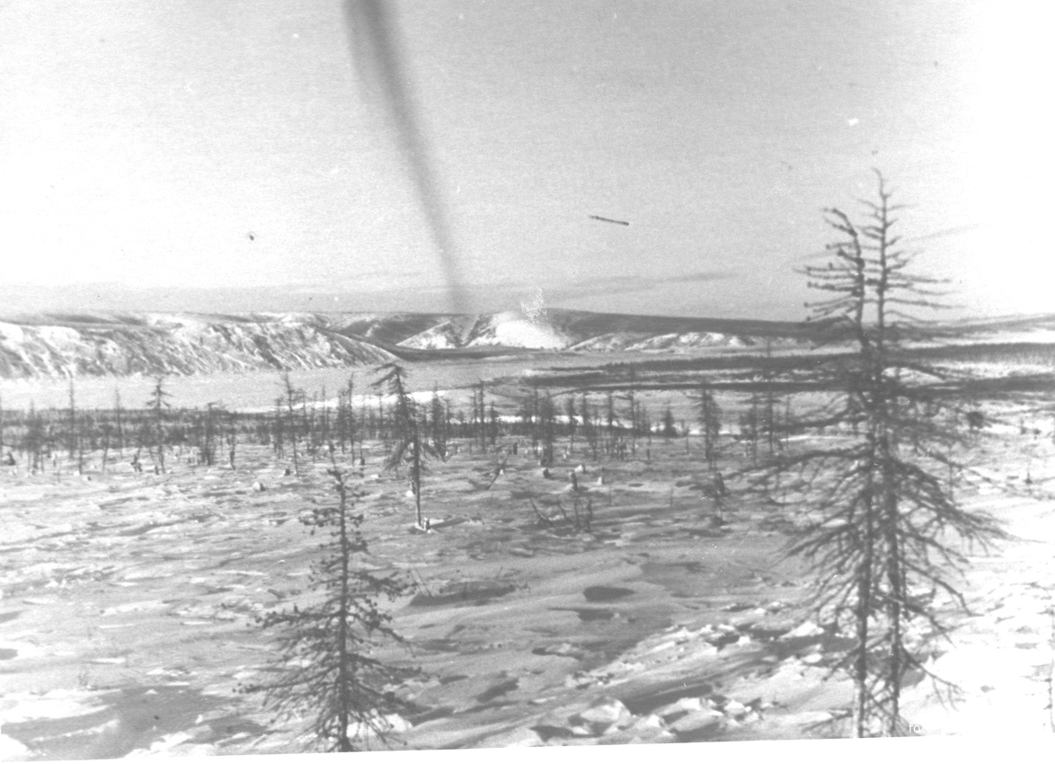 Лесотундра в районе с. Кюсюр, 1956 г.